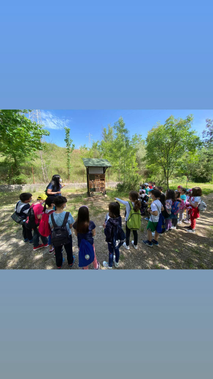 Bambini durante un percorso educativo nella natura